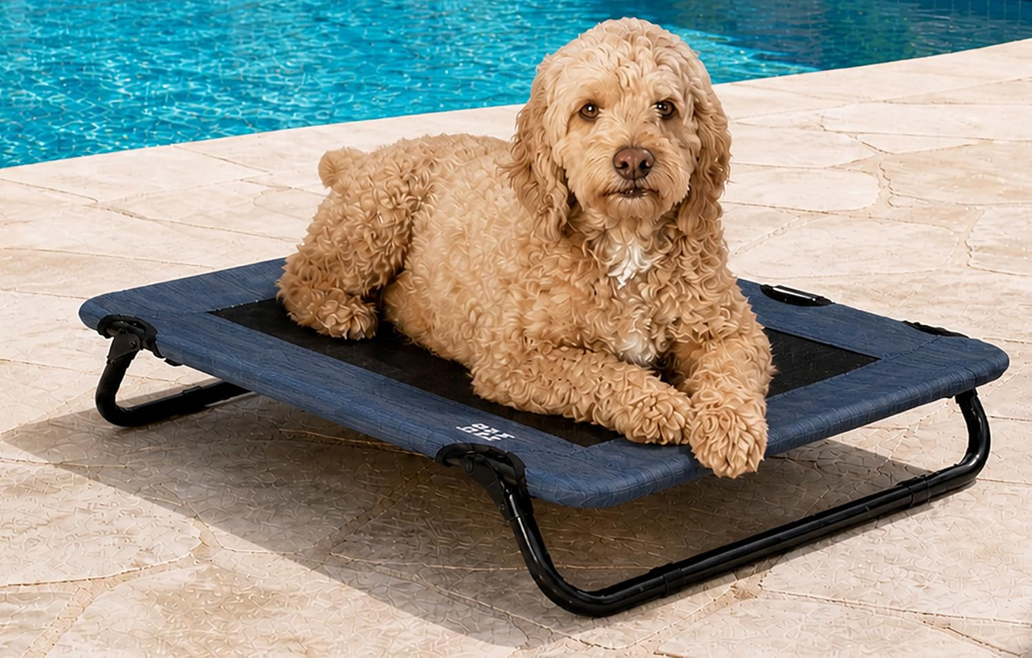 Lifestyle Pet Cot Elevated Bed, No Assembly Required, Premium Tear Resistant Cooling Mesh, Indoor & Outdoor, Lightweight & Portable, 30 Inch, Caribbean Ocean