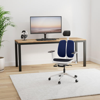 Alpha - Ergonomic Dual-Backrest Office Chair, Best for Lower Back Pain, Mesh, White/Blue