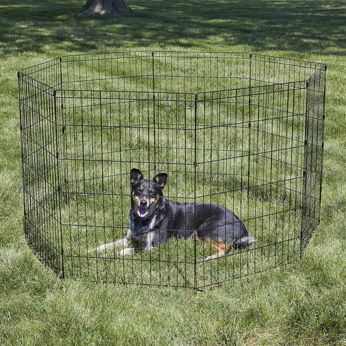 by Midwest Homes for Pets 36-Inch Exercise Pen, for Indoor and Outdoor Use, 16 Sq Feet of Play, Folding Dog Pen, No Door Design for Maximum Security, Easy to Set Up, Foldable Pet Playpen