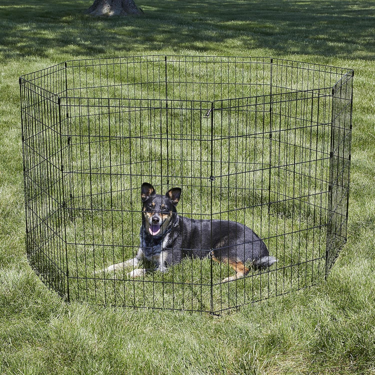 by Midwest Homes for Pets 36-Inch Exercise Pen, for Indoor and Outdoor Use, 16 Sq Feet of Play, Folding Dog Pen, No Door Design for Maximum Security, Easy to Set Up, Foldable Pet Playpen