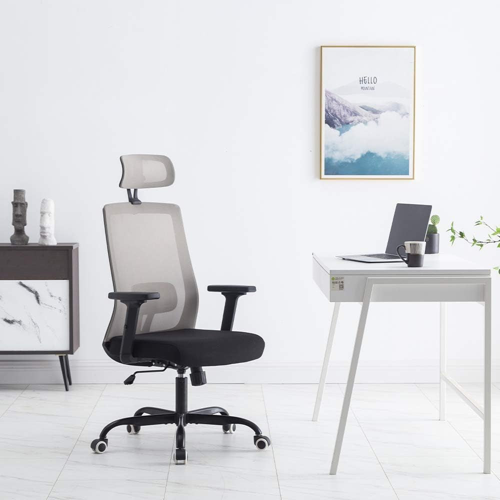 Ergonomic Office Chair, Gray Home Office Chair with Headrest Adjustable