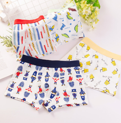 Big Kids' Boxer Briefs for Young Boys
