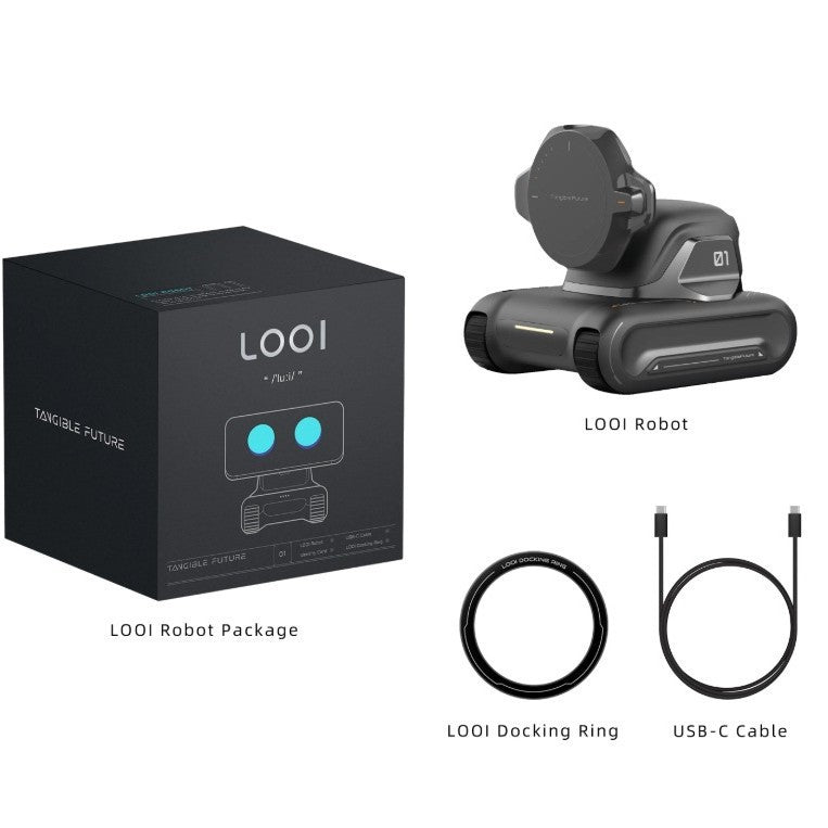 AI Interactive Robot Assistant