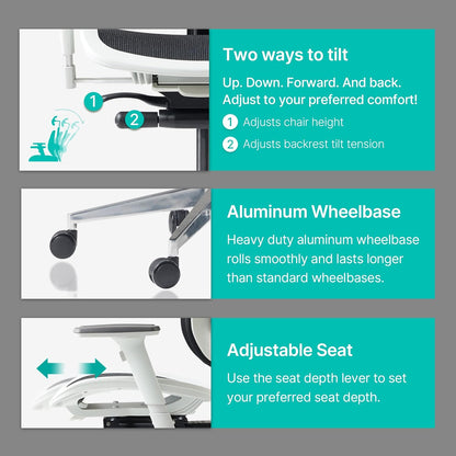 Alpha - Ergonomic Dual-Backrest Office Chair, Best for Lower Back Pain, Mesh, White/Blue