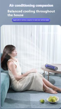 Portable Wireless  Desktop Fan