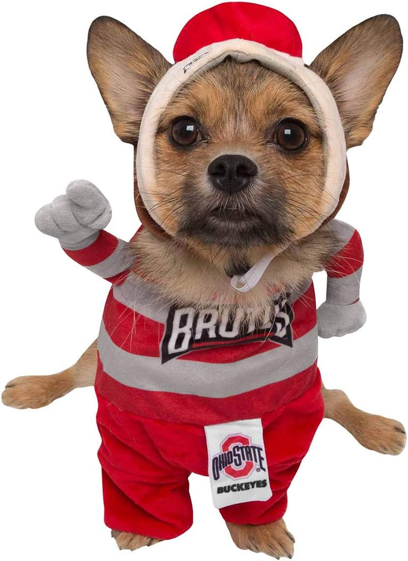 Pet Krewe Small Ohio State University Brutus the Buckeye Lucky Dog Pet Costume - Perfect for Halloween, Christmas Holiday, Parties, Photoshoots, Gifts for Dog Lovers