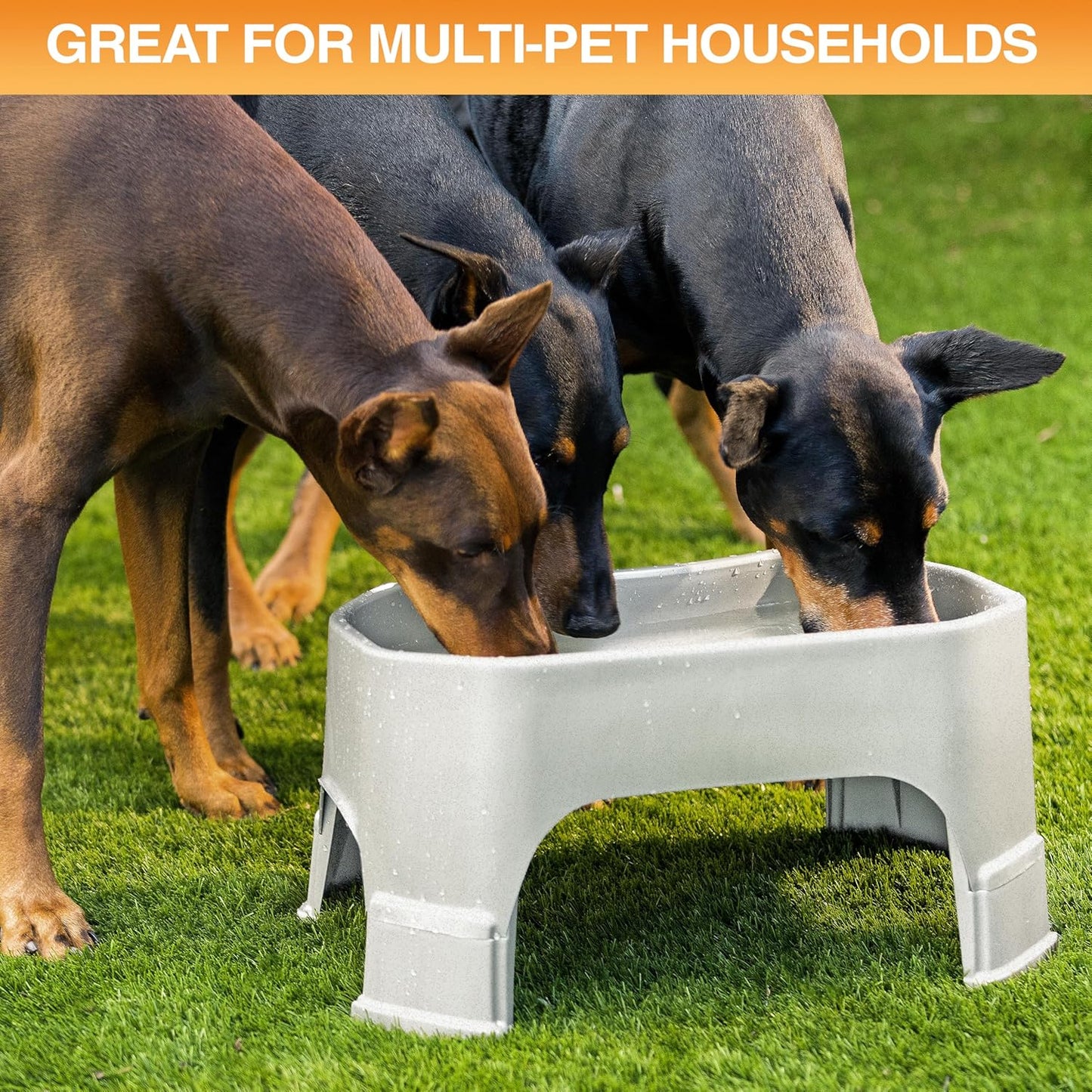 Extra Large Water Bowl for Dogs, Elevated Outdoor Dog Water Bowl (2.25 Gallon XL Capacity), Big Trough Style Food Dish for Indoors or Outside, No Spill Large Dog Bowls, Vanilla Bean