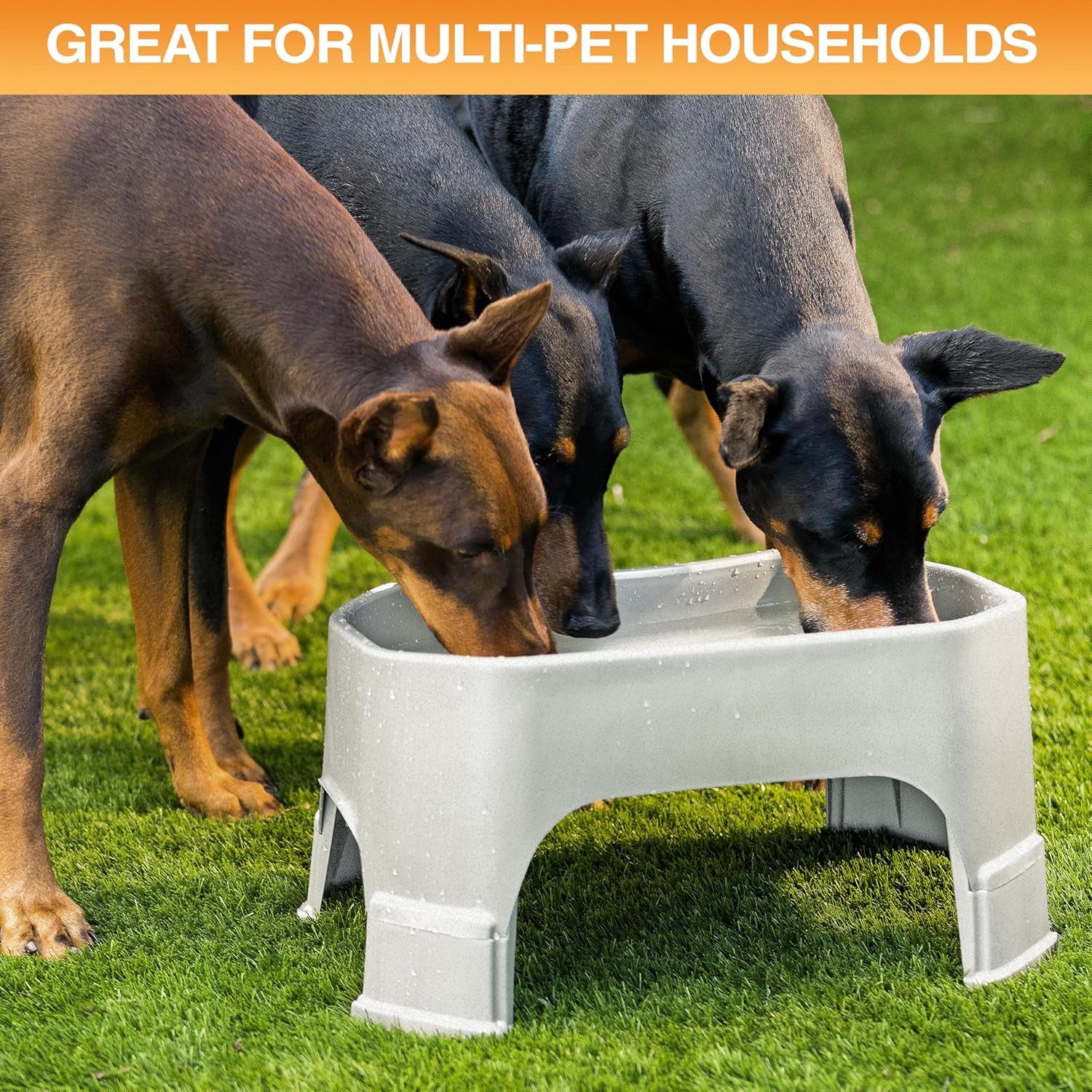 Extra Large Water Bowl for Dogs, Elevated Outdoor Dog Water Bowl (2.25 Gallon XL Capacity), Big Trough Style Food Dish for Indoors or Outside, No Spill Large Dog Bowls, Vanilla Bean
