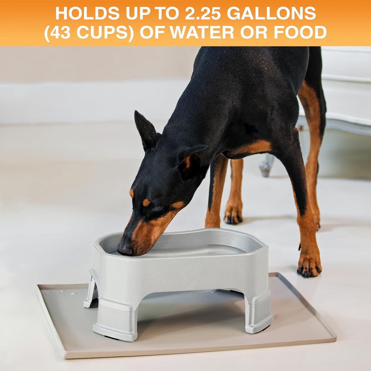 Extra Large Water Bowl for Dogs, Elevated Outdoor Dog Water Bowl (2.25 Gallon XL Capacity), Big Trough Style Food Dish for Indoors or Outside, No Spill Large Dog Bowls, Vanilla Bean