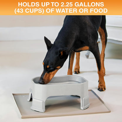 Extra Large Water Bowl for Dogs, Elevated Outdoor Dog Water Bowl (2.25 Gallon XL Capacity), Big Trough Style Food Dish for Indoors or Outside, No Spill Large Dog Bowls, Vanilla Bean
