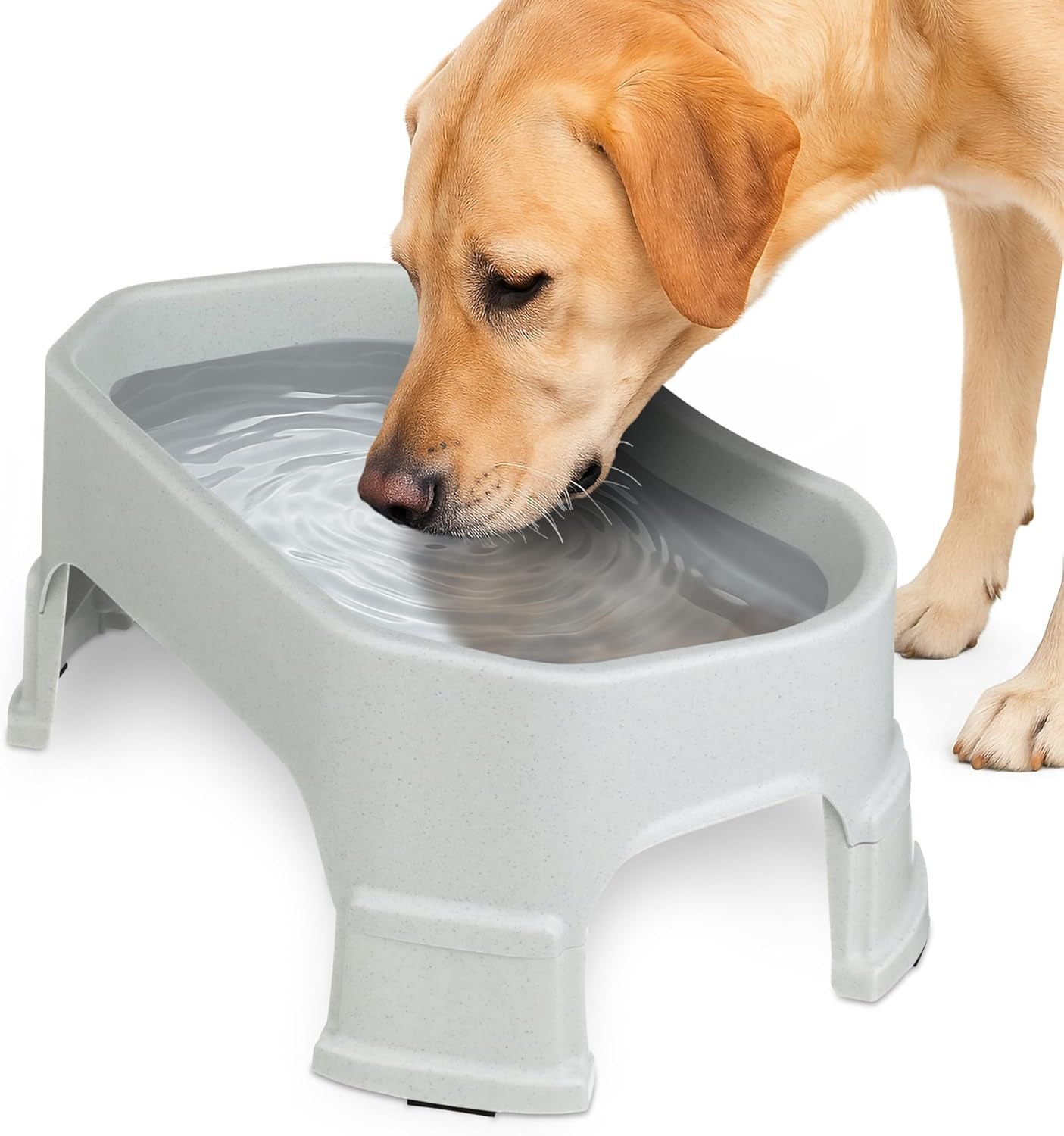 Extra Large Water Bowl for Dogs, Elevated Outdoor Dog Water Bowl (1.25 Gallon XL Capacity), Big Trough Style Food Dish for Indoors or Outside, No Spill Large Dog Bowls, Vanilla Bean