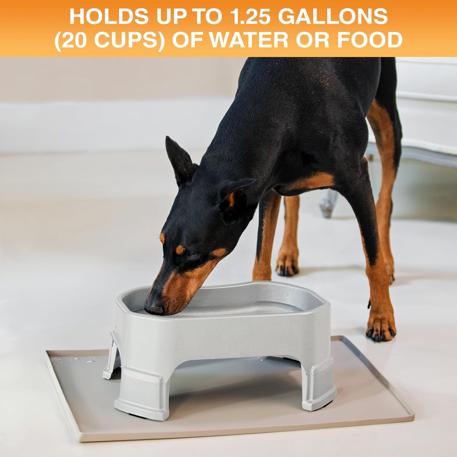 Extra Large Water Bowl for Dogs, Elevated Outdoor Dog Water Bowl (1.25 Gallon XL Capacity), Big Trough Style Food Dish for Indoors or Outside, No Spill Large Dog Bowls, Vanilla Bean