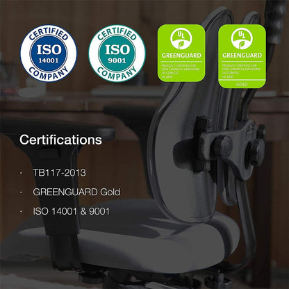 Gold Home Office Desk Chairs - Office Chair for Lower Back Pain, Ergonomic Office Chair, Adjustable Chair, Multi-Tilt, Tilt Lock, Triple Y Base, Greenguard Certified (Knit Blue)
