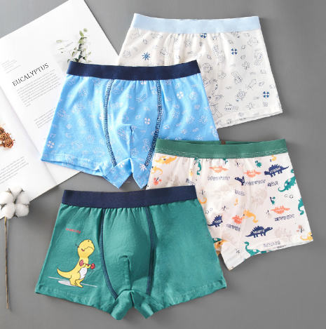 Big Kids' Boxer Briefs for Young Boys