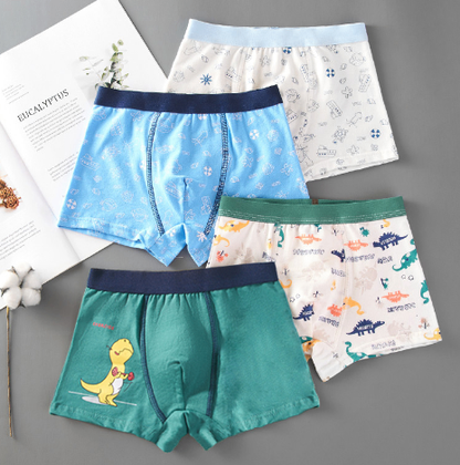 Big Kids' Boxer Briefs for Young Boys